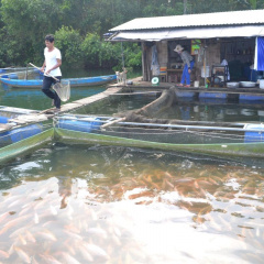 Tính đường xa cho ngành thủy sản